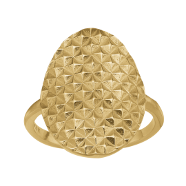 FORGYLDT OVAL RING - Ringe forgyldt