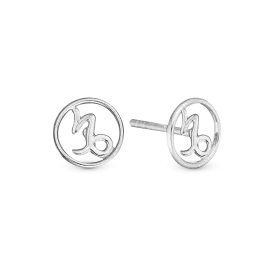 ØRESTIKKER m. STJERNETEGN - Øreringe sølv