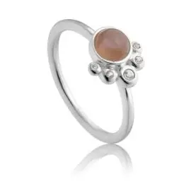 EARTH RING - Ringe sølv