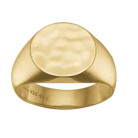 FORGYLDT SIGNE RING - Ringe