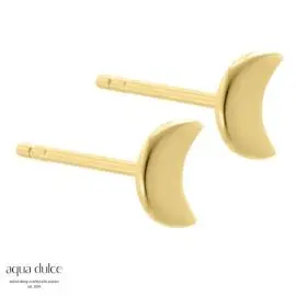 AQUA DULCE SELMA ØRESTIKKER - SMYKKER