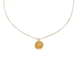 Flora Danica Dild - Halskæde